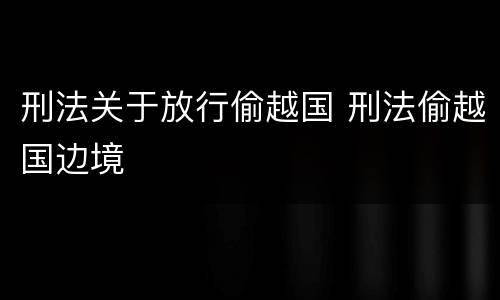 刑法关于放行偷越国 刑法偷越国边境
