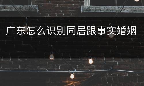 广东怎么识别同居跟事实婚姻