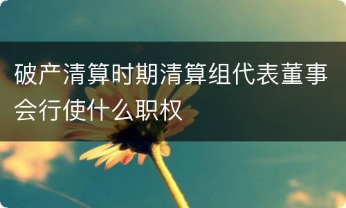 破产清算时期清算组代表董事会行使什么职权