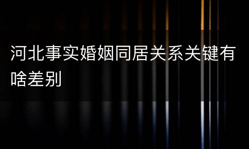 河北事实婚姻同居关系关键有啥差别