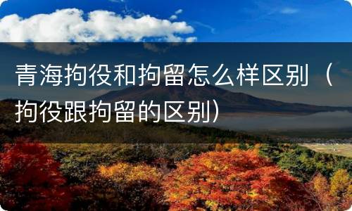 青海拘役和拘留怎么样区别（拘役跟拘留的区别）