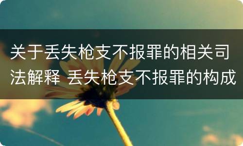 关于丢失枪支不报罪的相关司法解释 丢失枪支不报罪的构成要件
