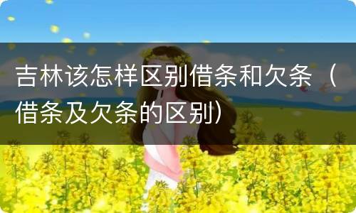 吉林该怎样区别借条和欠条（借条及欠条的区别）