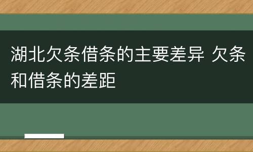 湖北欠条借条的主要差异 欠条和借条的差距