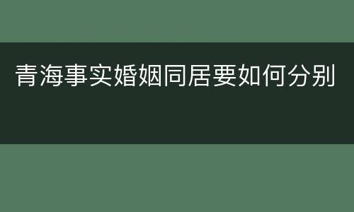 青海事实婚姻同居要如何分别