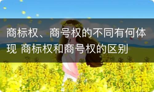 商标权、商号权的不同有何体现 商标权和商号权的区别