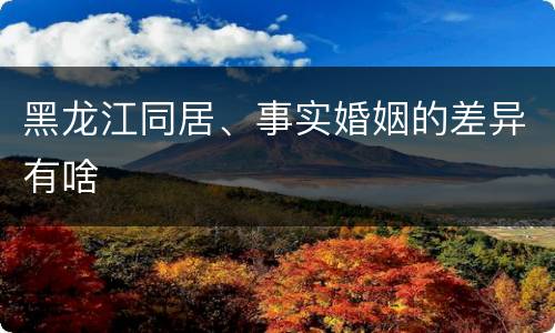 黑龙江同居、事实婚姻的差异有啥