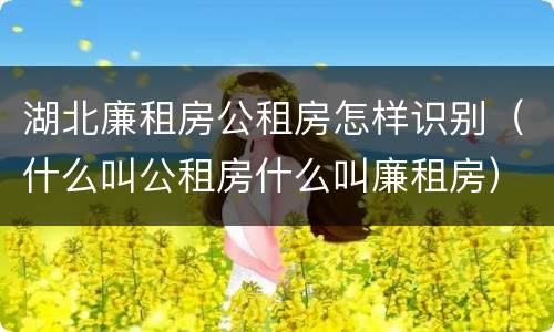 湖北廉租房公租房怎样识别(什么叫公租房什么叫廉租房)