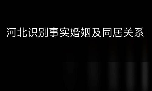 河北识别事实婚姻及同居关系