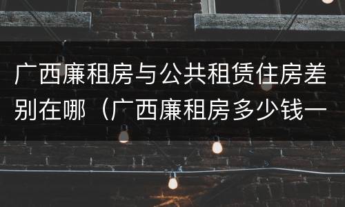 广西廉租房与公共租赁住房差别在哪（广西廉租房多少钱一个月）
