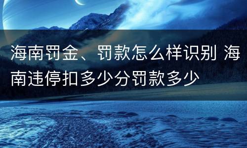 海南罚金、罚款怎么样识别 海南违停扣多少分罚款多少