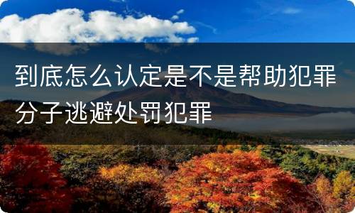 到底怎么认定是不是帮助犯罪分子逃避处罚犯罪