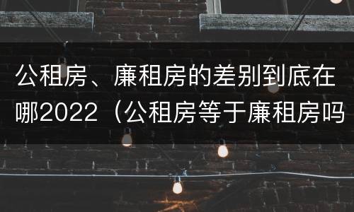 公租房、廉租房的差别到底在哪2022（公租房等于廉租房吗）