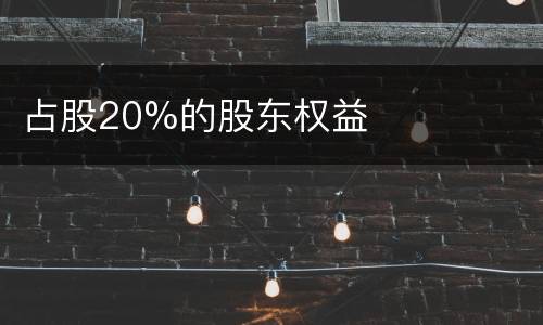 占股20%的股东权益