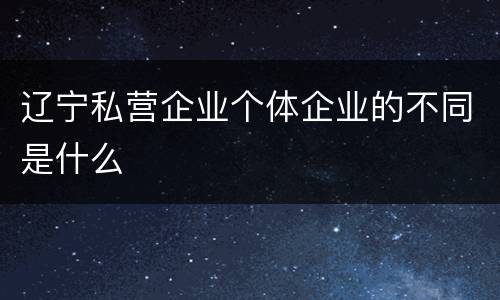 辽宁私营企业个体企业的不同是什么