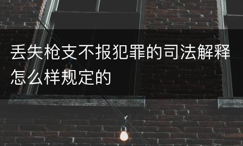 丢失枪支不报犯罪的司法解释怎么样规定的