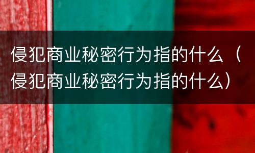 侵犯商业秘密行为指的什么（侵犯商业秘密行为指的什么）