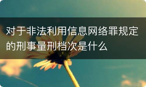对于非法利用信息网络罪规定的刑事量刑档次是什么