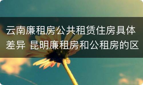 云南廉租房公共租赁住房具体差异 昆明廉租房和公租房的区别