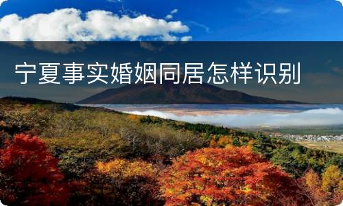 宁夏事实婚姻同居怎样识别