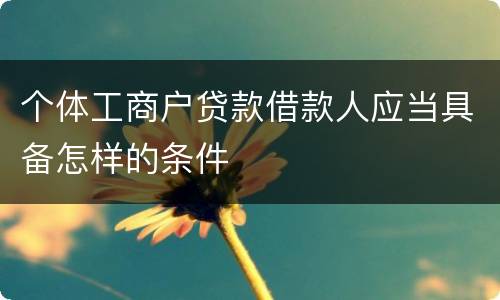 个体工商户贷款借款人应当具备怎样的条件