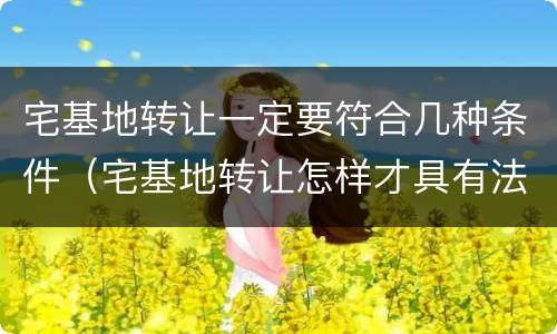 宅基地转让一定要符合几种条件（宅基地转让怎样才具有法律责任）