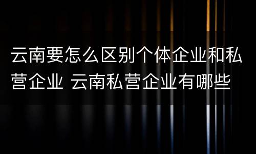 云南要怎么区别个体企业和私营企业 云南私营企业有哪些