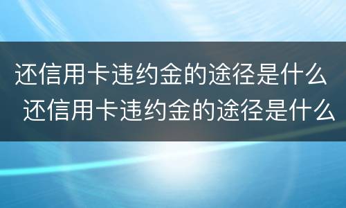 还信用卡违约金的途径是什么 还信用卡违约金的途径是什么呢