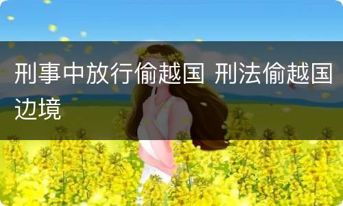 刑事中放行偷越国 刑法偷越国边境