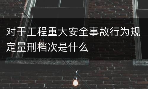 对于工程重大安全事故行为规定量刑档次是什么