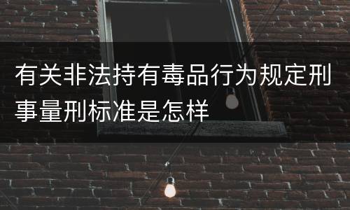 有关非法持有毒品行为规定刑事量刑标准是怎样
