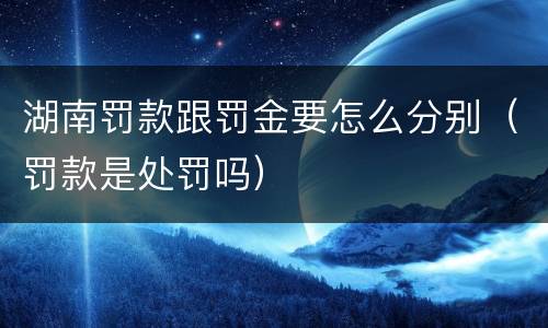 湖南罚款跟罚金要怎么分别（罚款是处罚吗）