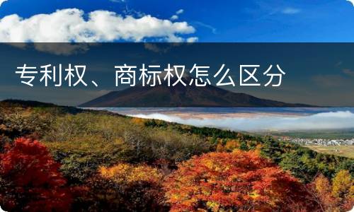 专利权、商标权怎么区分