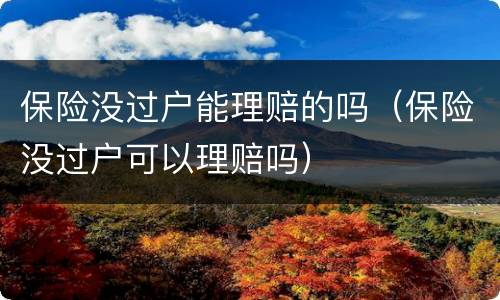 保险没过户能理赔的吗（保险没过户可以理赔吗）