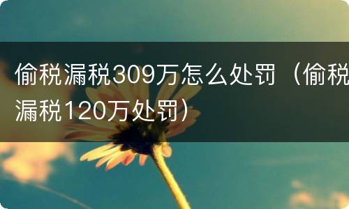 偷税漏税309万怎么处罚（偷税漏税120万处罚）