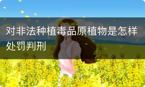 对非法种植毒品原植物是怎样处罚判刑