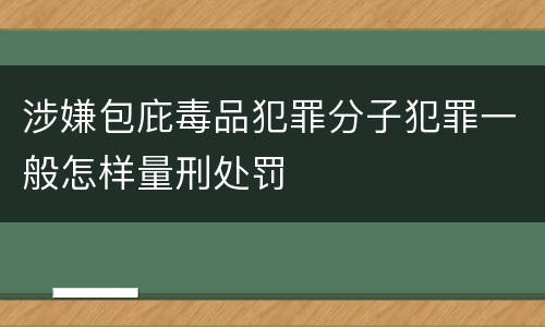 涉嫌包庇毒品犯罪分子犯罪一般怎样量刑处罚