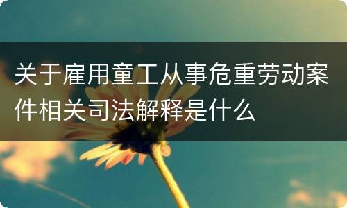 关于雇用童工从事危重劳动案件相关司法解释是什么