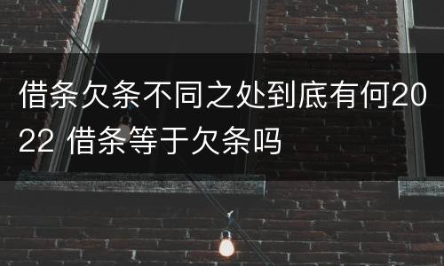 借条欠条不同之处到底有何2022 借条等于欠条吗