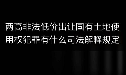 两高非法低价出让国有土地使用权犯罪有什么司法解释规定