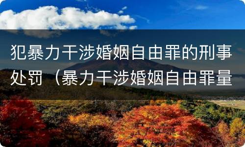 犯暴力干涉婚姻自由罪的刑事处罚（暴力干涉婚姻自由罪量刑）
