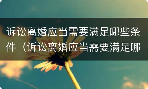 诉讼离婚应当需要满足哪些条件（诉讼离婚应当需要满足哪些条件呢）