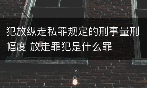 犯放纵走私罪规定的刑事量刑幅度 放走罪犯是什么罪