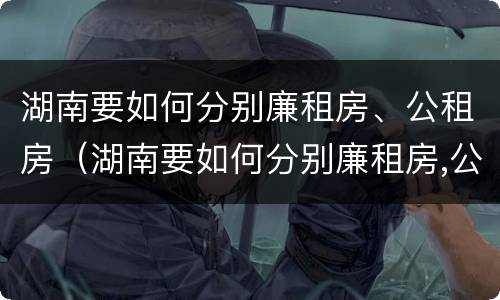 湖南要如何分别廉租房、公租房（湖南要如何分别廉租房,公租房和住宅）