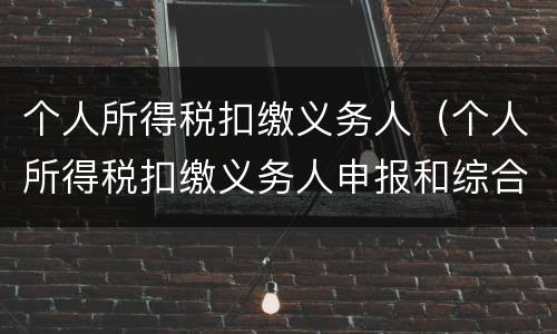 个人所得税扣缴义务人（个人所得税扣缴义务人申报和综合年度所得自行申报）