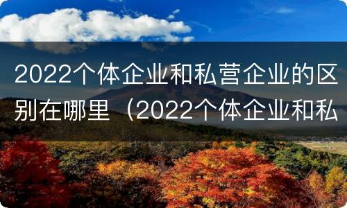 2022个体企业和私营企业的区别在哪里（2022个体企业和私营企业的区别在哪里呢）