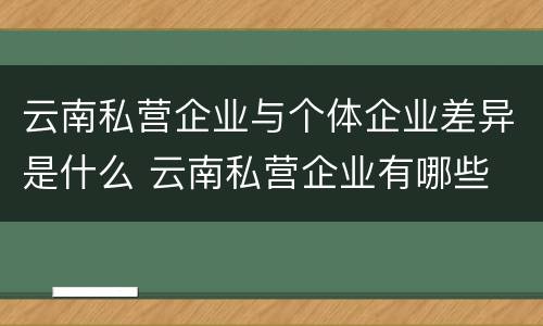 云南私营企业与个体企业差异是什么 云南私营企业有哪些