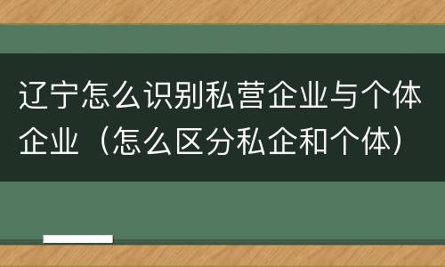 辽宁怎么识别私营企业与个体企业（怎么区分私企和个体）