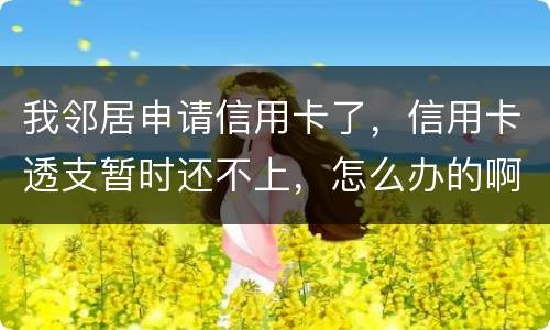 我邻居申请信用卡了，信用卡透支暂时还不上，怎么办的啊