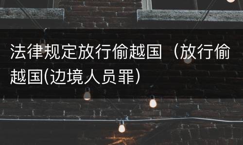 法律规定放行偷越国（放行偷越国(边境人员罪）